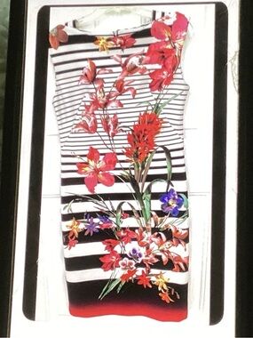 Gabby Style Black & White Striped Midi Dress with Red Floral Accents